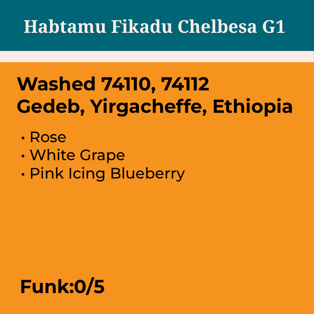 Habtamu Fikadu Washed