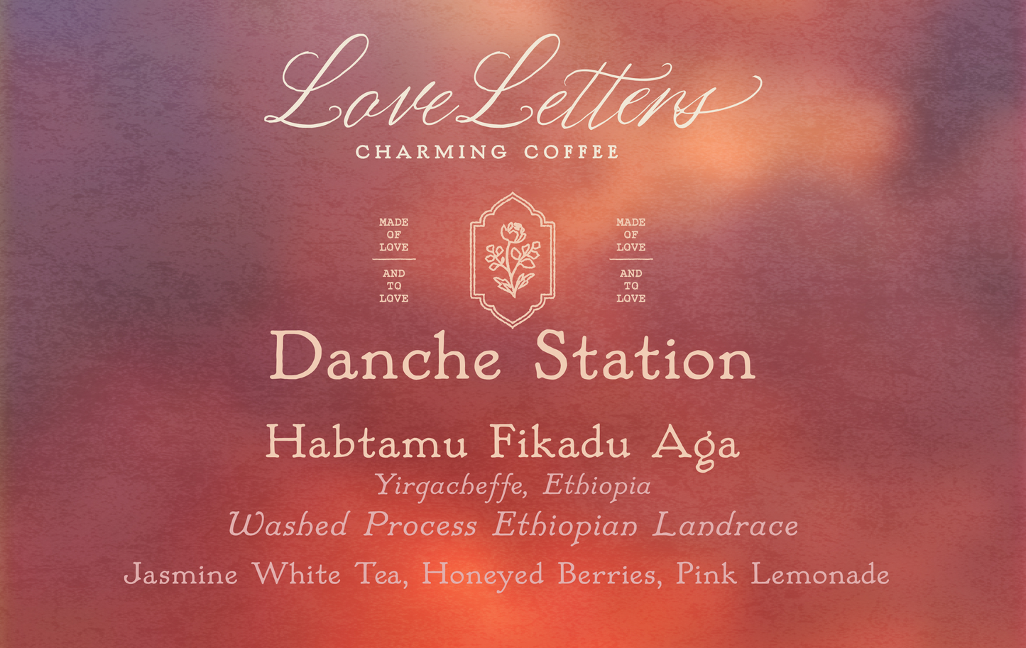 Danche Station - Habtamu Fikadu Aga - Washed Process Ethiopia