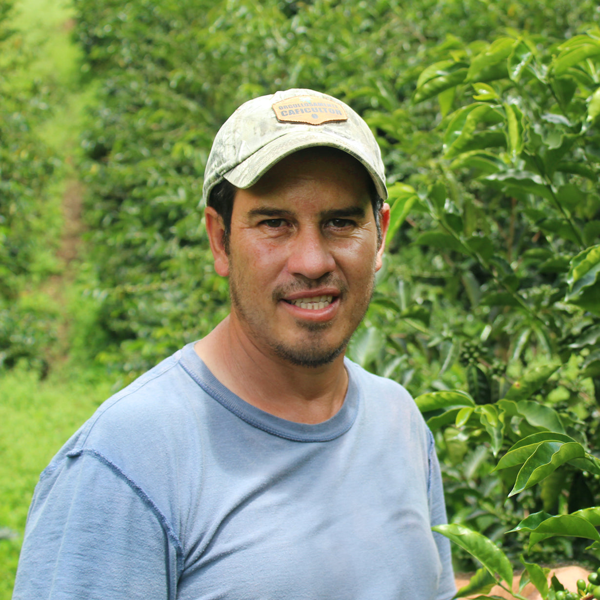 Cup of Excellence #10 Las Acacias — Freezer Reserve