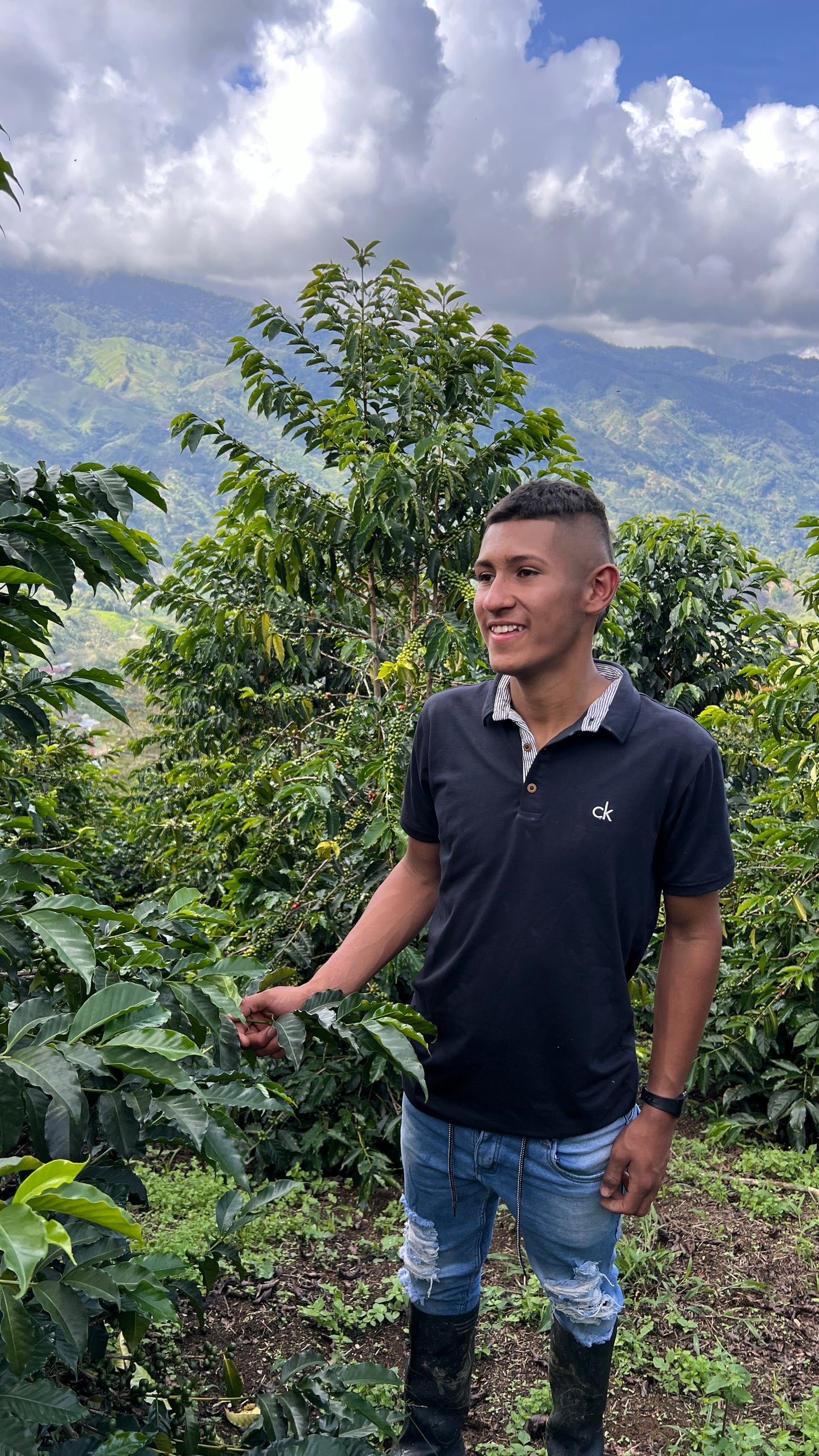 Finca El Proceso Chiroso - Colombia, washed