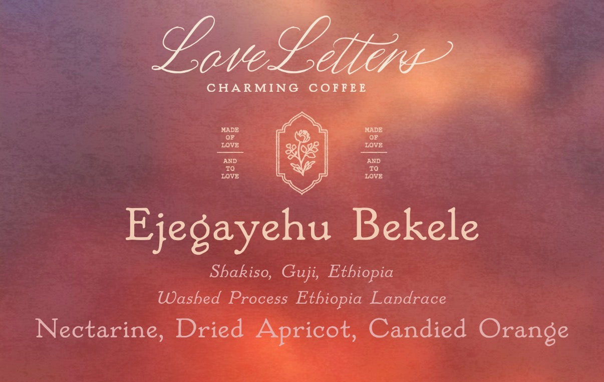 Ejegayehu Bekele - Odo Shakiso, Guji - Washed Process Ethiopia