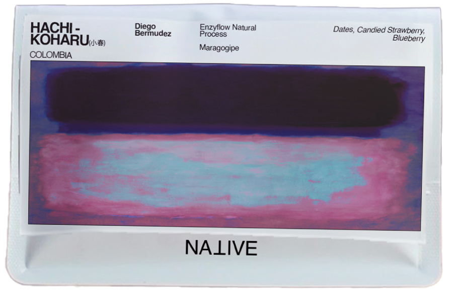 New - HACHI - Koharu Maragogipe Enzyflow Natural - (小春)
