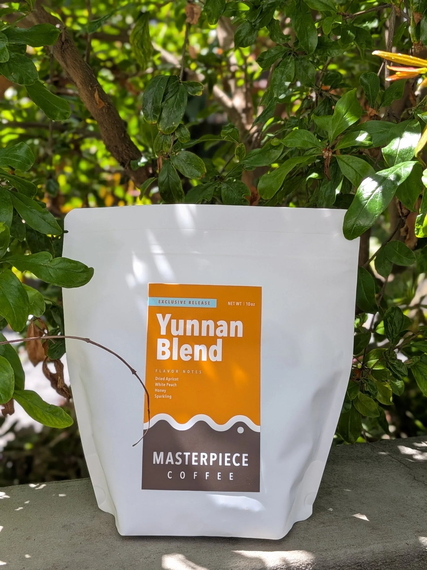 Yunnan Blend (Exclusive Release)