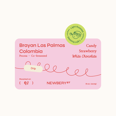 Brayan Las Palmas Strawberry