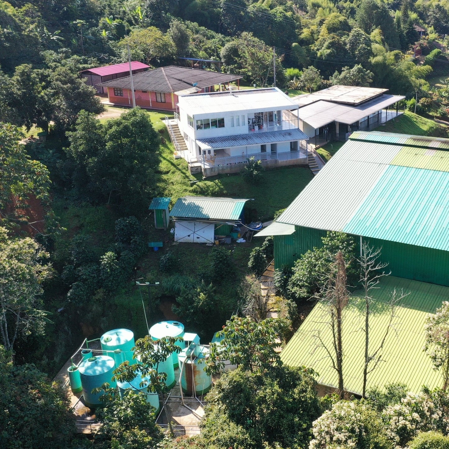 DIEGO BERMUDEZ GESHA