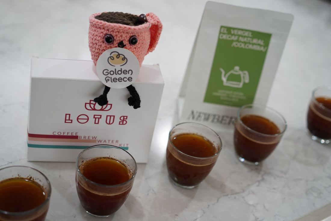 The Golden Fleece mascot perched on the Lotus Coffee Brew Water Kit box, with a Newbery St. El Vergel Decaf Natural bag behind and brewed cupping glasses in front