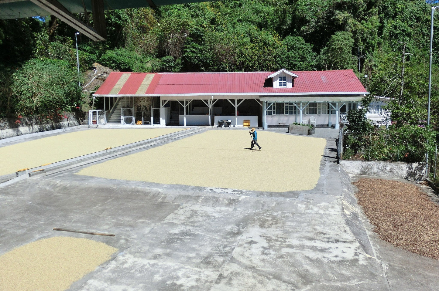 Finca Los Cantares Marie Vallarino - Washed Caturra Catuai - Panama