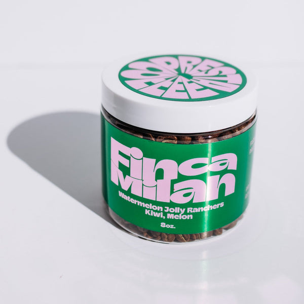 Colombia - Finca Milan - Caturra Nitro Fermentation Washed