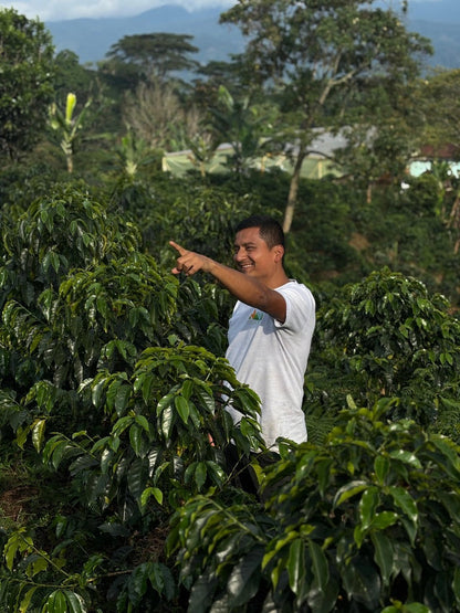 Deiro Garcia Finca Lord Voldemort - Panela Yeast Washed Caturra Chiroso - Colombia