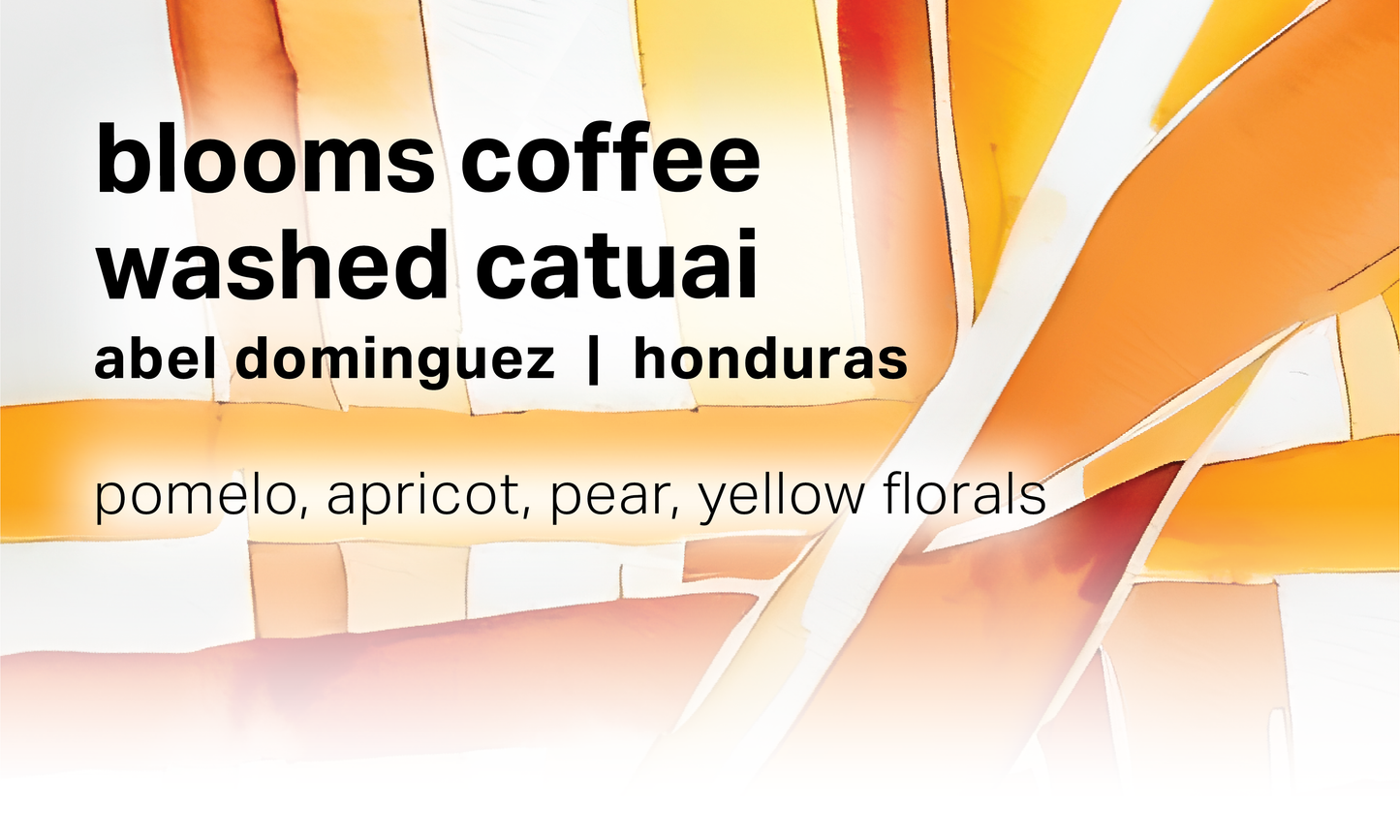 Abel Dominguez Blooms Coffee - Washed Catuai - Honduras