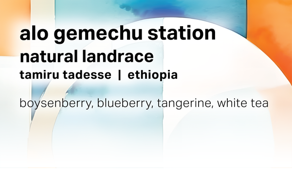Alo Gemechu Station - Natural Landrace - Ethiopia