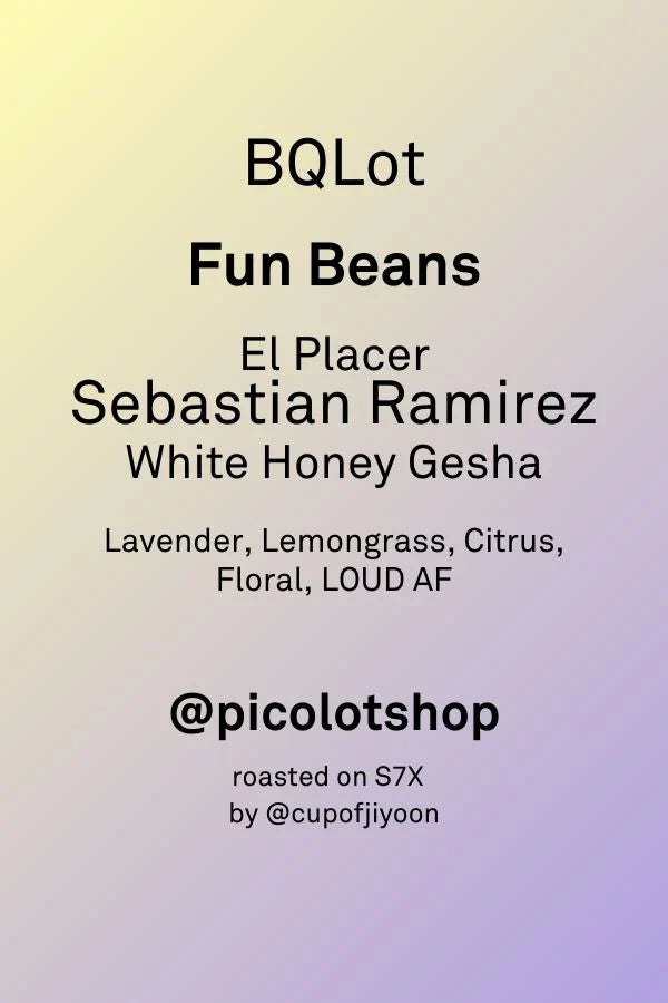 BRIAN QUAN X SEBASTIAN RAMIREZ GESHA WHITE HONEY