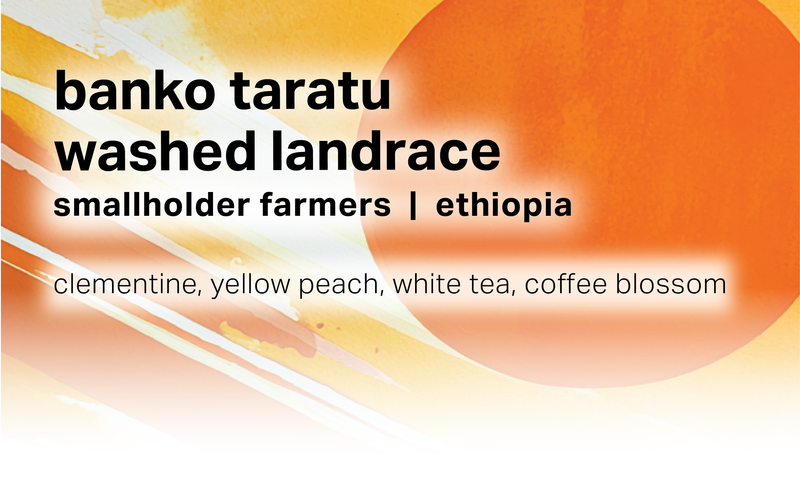Banko Taratu - Smallholder Farmers - Washed Landrace - Ethiopia