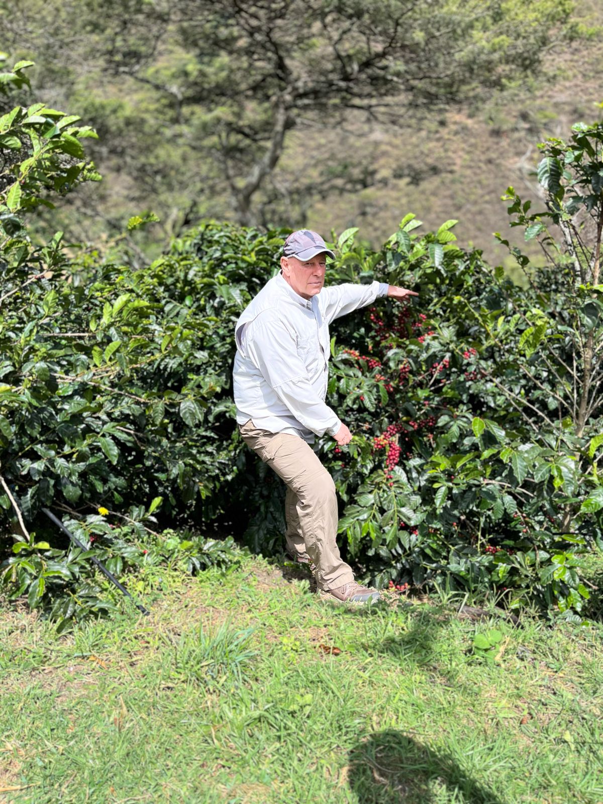 Bernard Uhe Finca Sacapo - Natural Wush Wush - Ecuador