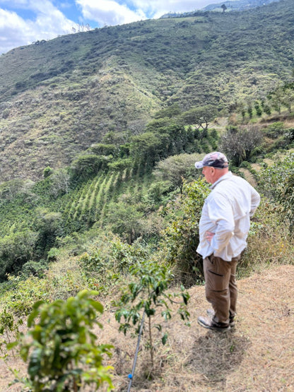 Bernard Uhe Finca Sacapo - Natural Wush Wush - Ecuador