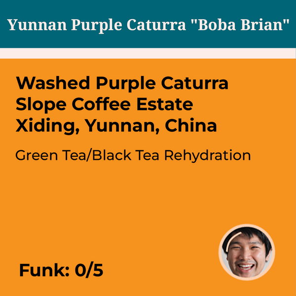 Yunnan Purple Caturra "Boba Brian"