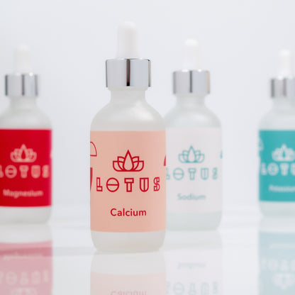 Lotus Water | Coffee Brew Water Kit