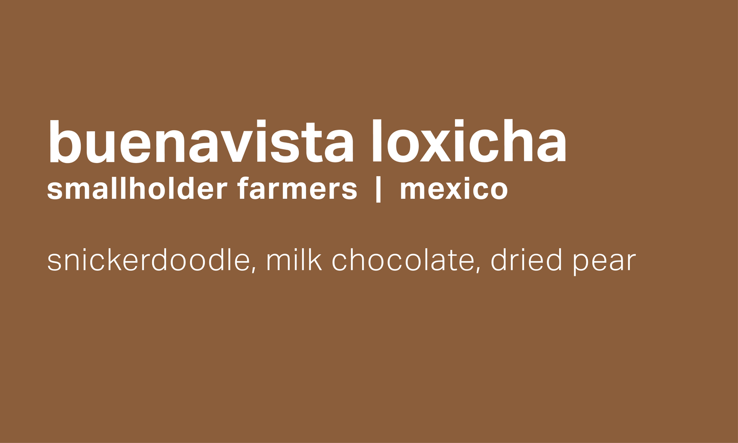 Buenavista Loxicha - Washed Field Blend - Mexico