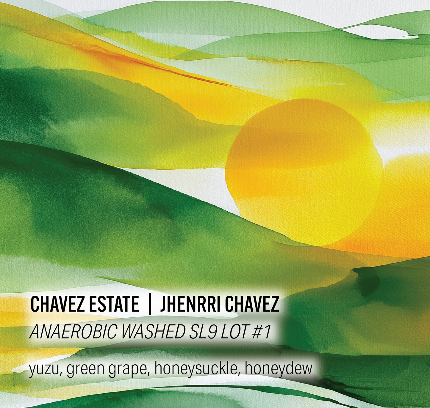 Chavez Estate Lot #1 - Jhenrri Chavez - Anaerobic Washed SL9 - Peru