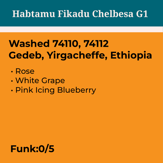 Habtamu Fikadu Washed