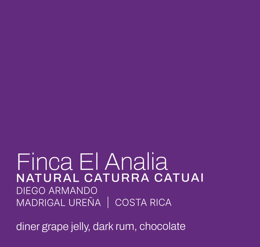 Finca El Analia - Diego Armando Madrigal Ureña - Natural Caturra Catuai - Costa Rica