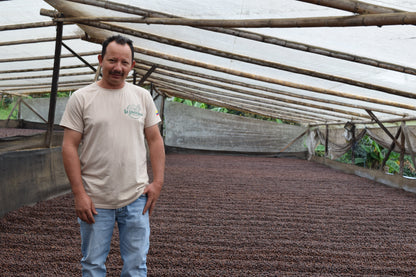 Dark Roast - Finca La Piragua - Natural Red Stripe Bourbon - Colombia