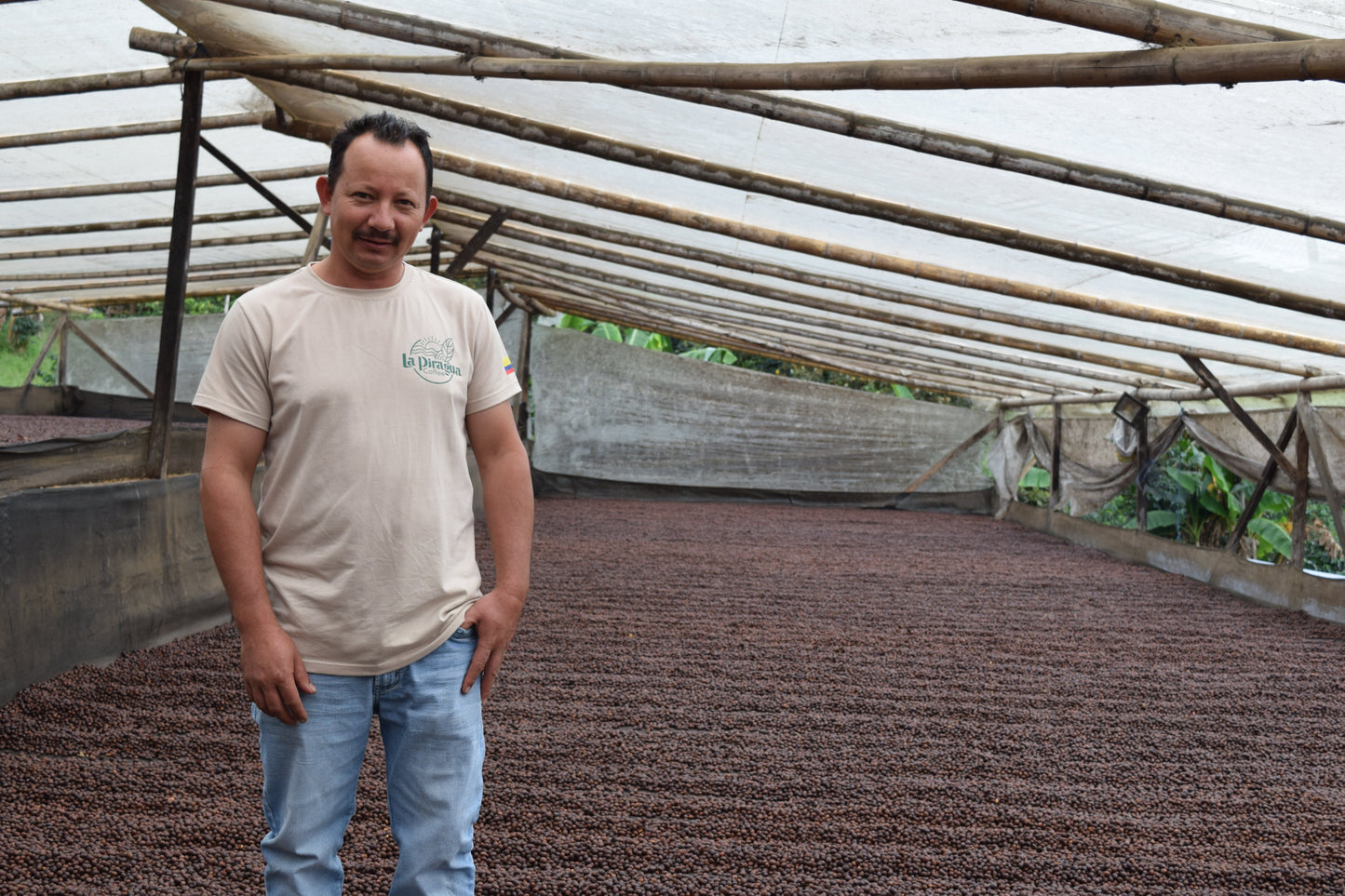 Light Roast - Finca La Piragua - Natural Red Stripe Bourbon - Colombia