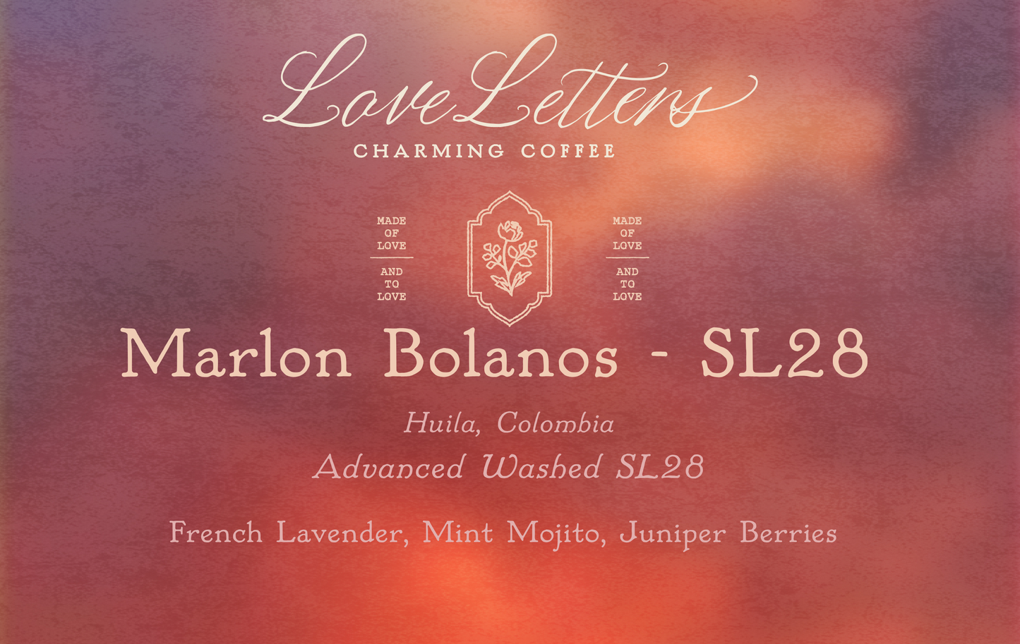 Marlon Bolaños - SL28 Adv Washed