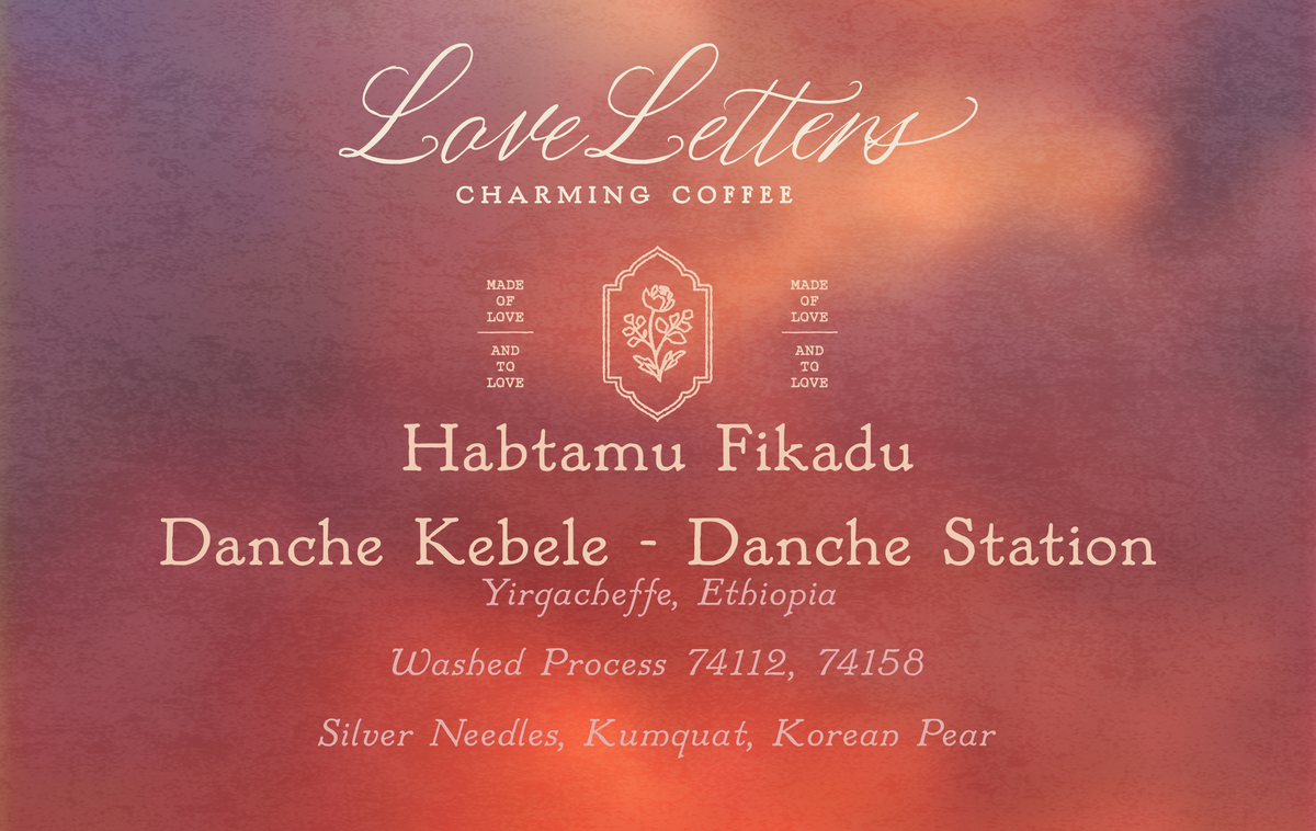 Habatamu Fikadu - Danche Kebele & Station - Washed Process - 120g