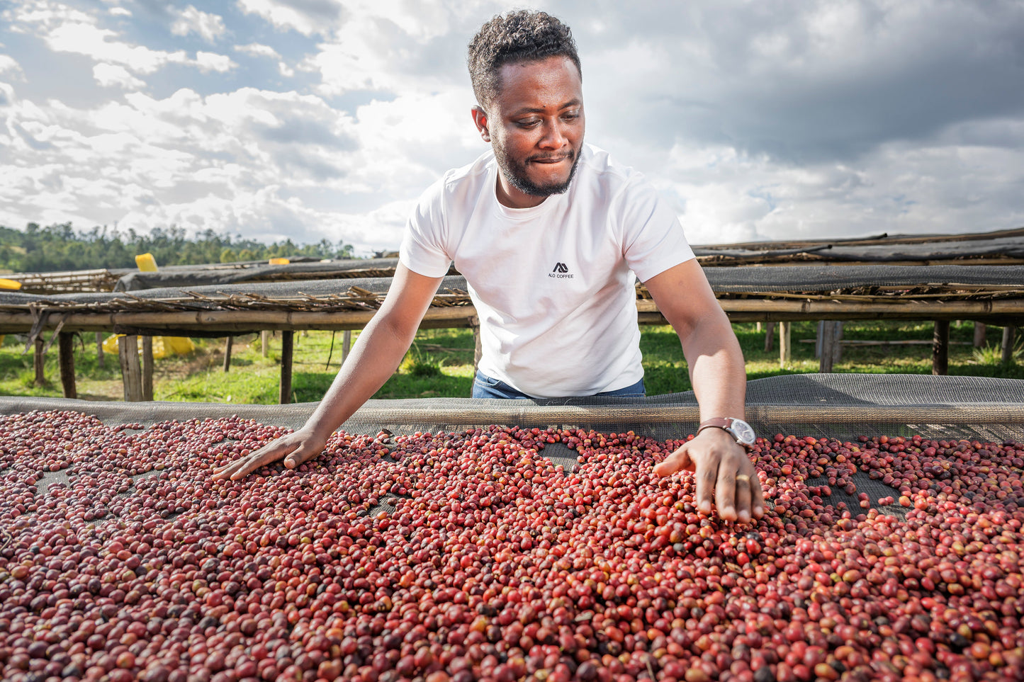 Tamiru Tadesse Alo Coffee - DRD Natural 74158 - Ethiopia
