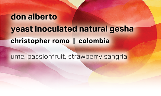 Don Alberto - Christopher Romo - Yeast Inoculated Natural Gesha - Colombia
