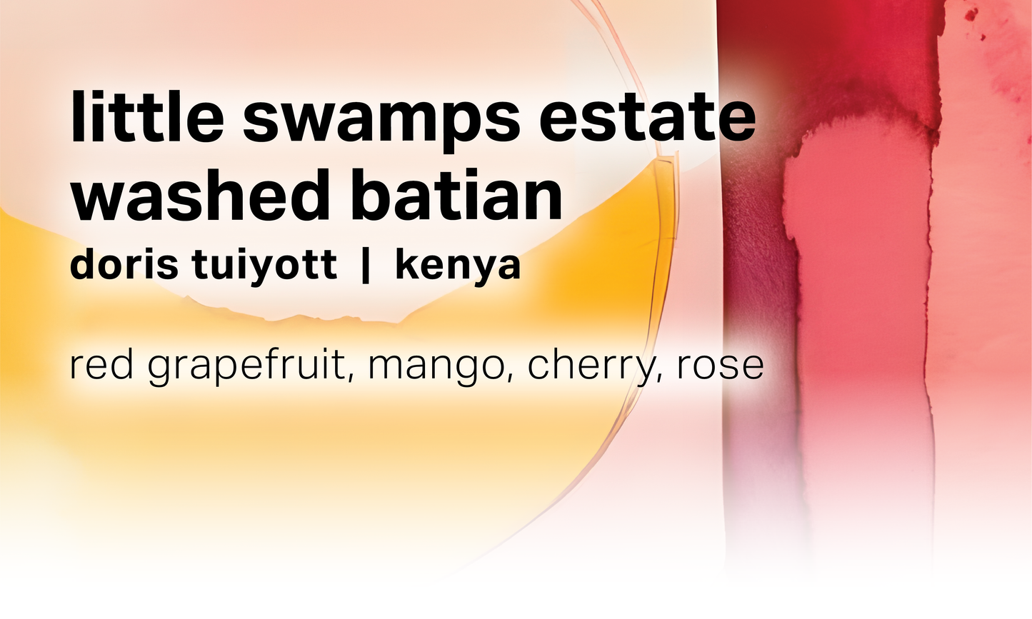 Doris Tuiyott Little Swamps Estate - Washed Batian - Kenya