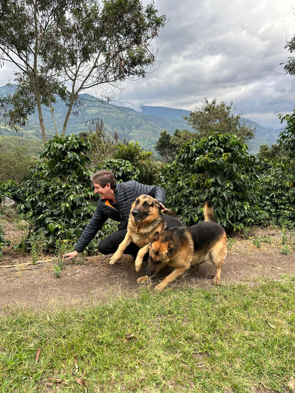 Hacienda El Obraje - Pablo Andrés Guerrero - Anaerobic Natural Moka - Colombia