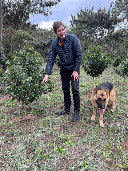 Hacienda El Obraje - Pablo Andrés Guerrero - Anaerobic Natural Moka - Colombia