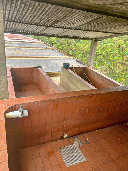 Andrés Felipe Osorio