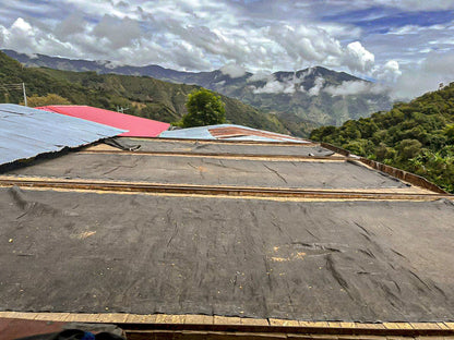 Andrés Felipe Osorio