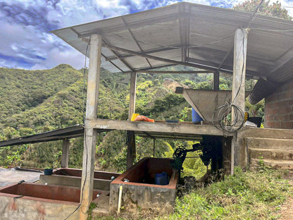 Andrés Felipe Osorio