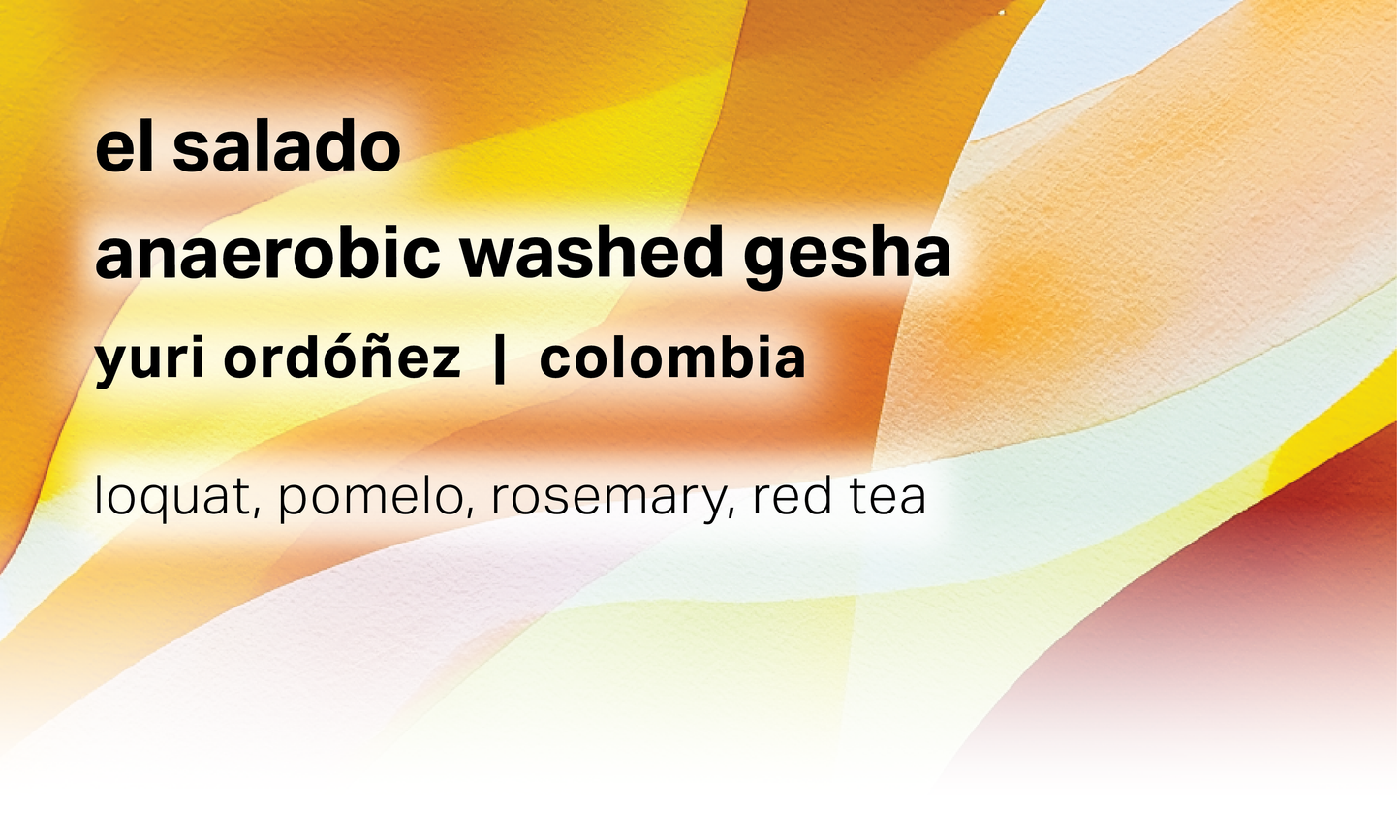 El Salado - Yuri Ordóñez - Anaerobic Washed Gesha - Colombia