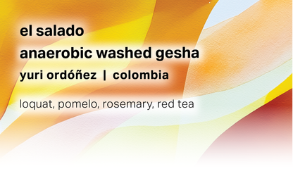 El Salado - Yuri Ordóñez - Anaerobic Washed Gesha - Colombia