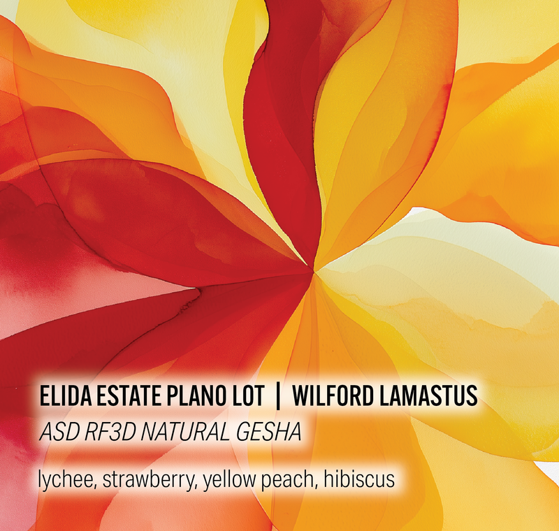 Elida Estate Plano Lot - Wilford Lamastus - ASD RF3D Natural Gesha - Panama