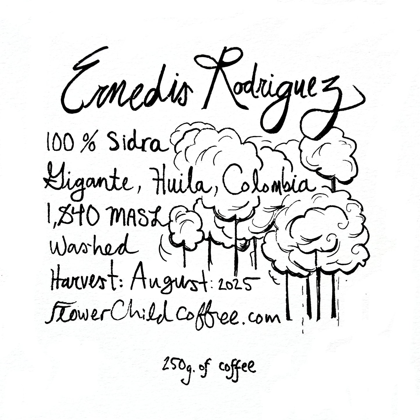 Ernedis Rodriguez - Sidra