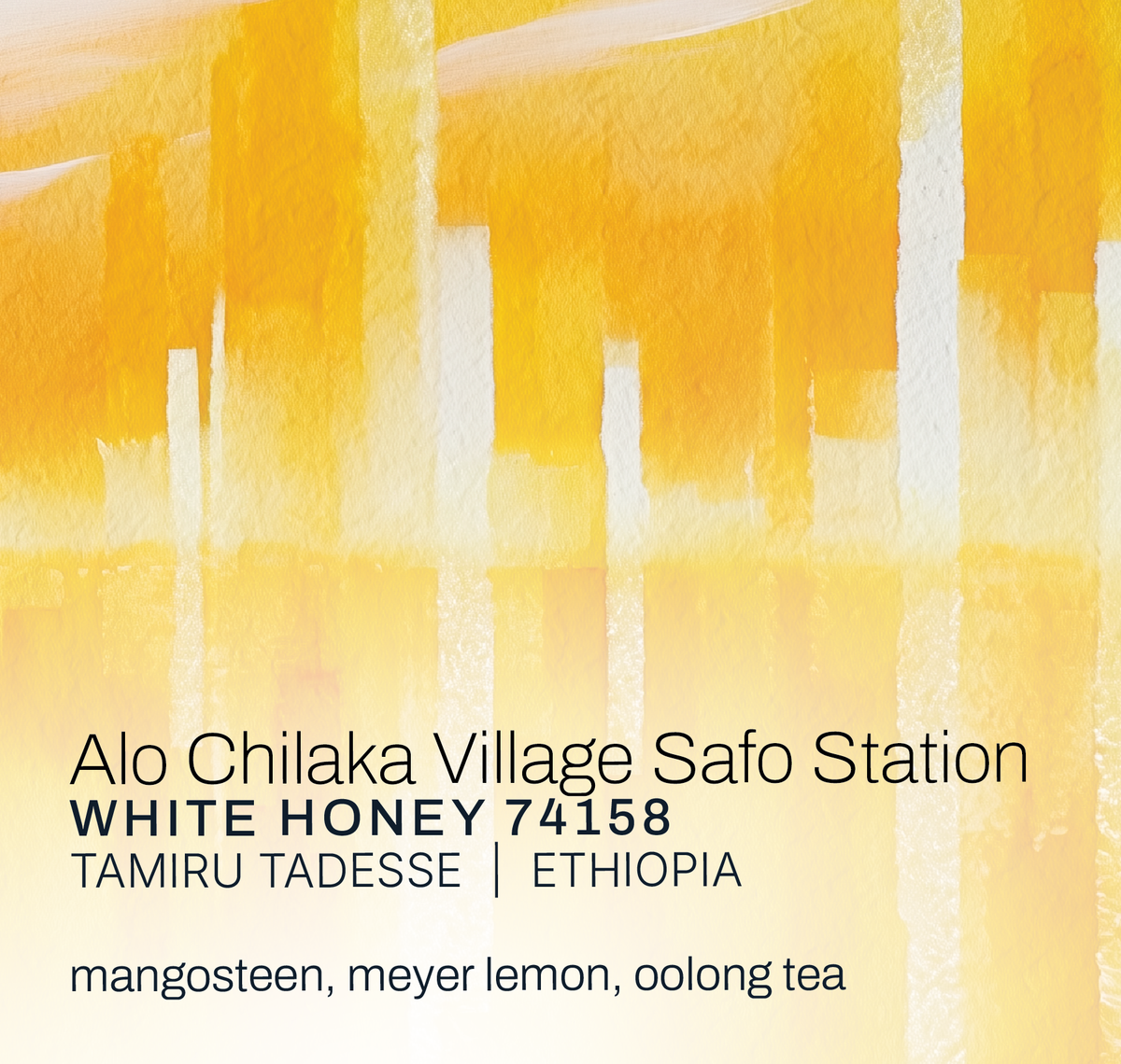 Alo Chilaka Village Safo Station - Tamiru Tadesse - White Honey 74158 - Ethiopia