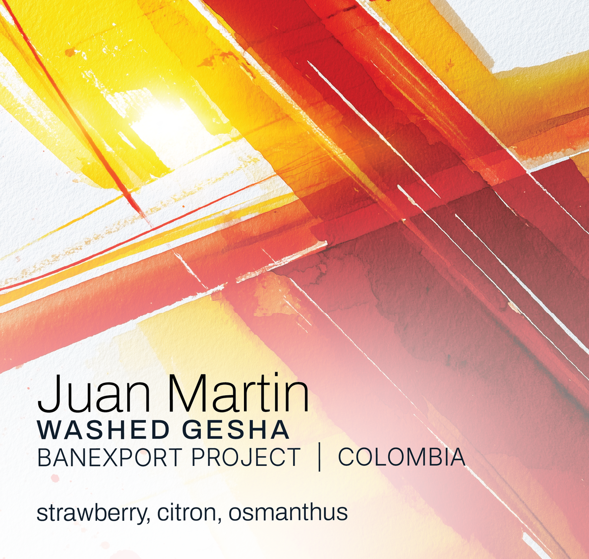 Finca Juan Martin - Banexport Project - Washed Gesha - Colombia