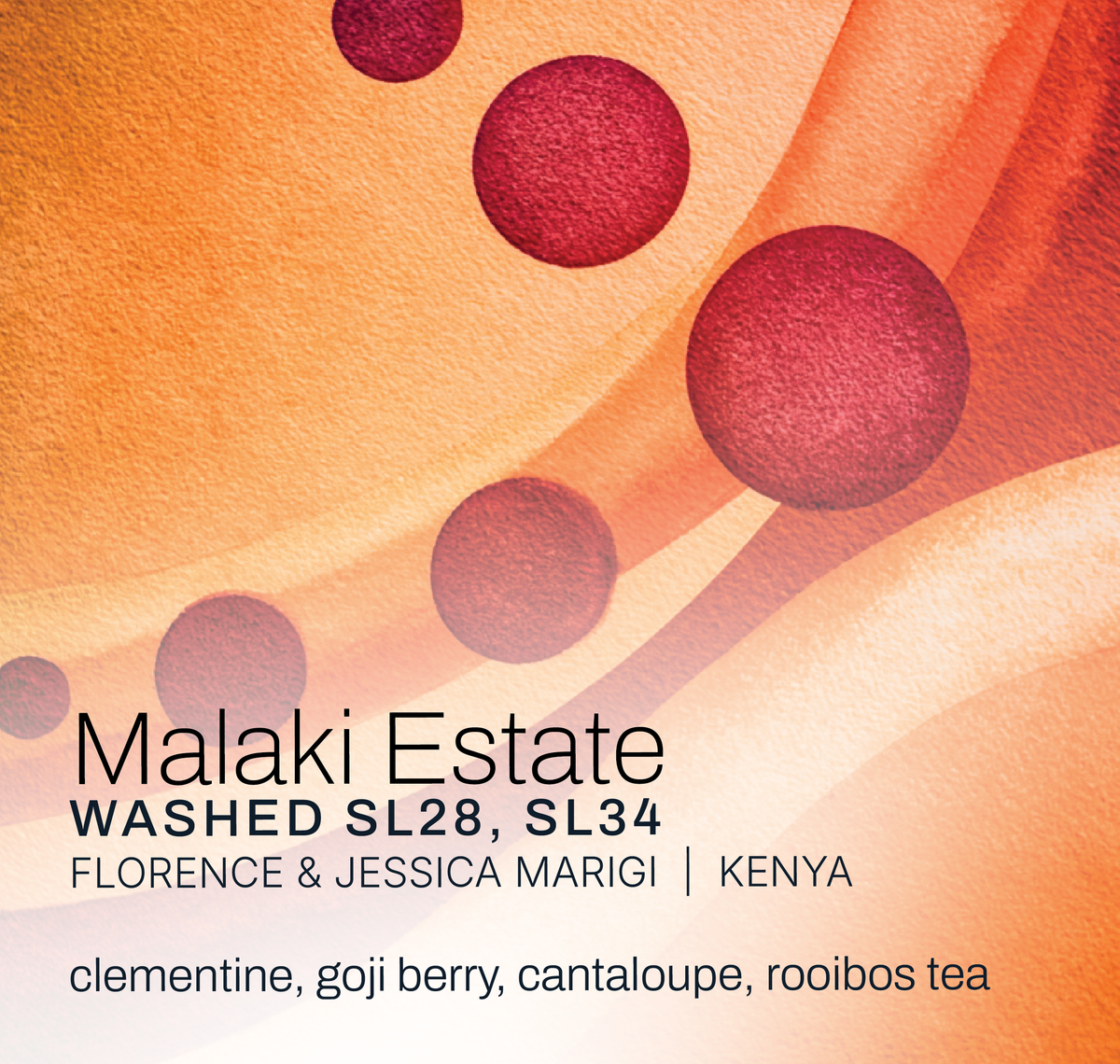 Malaki Estate - Florence and Jessica Marigi - Washed Kenya - Kenya