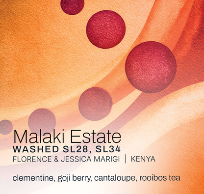 Malaki Estate - Florence and Jessica Marigi - Washed Kenya - Kenya