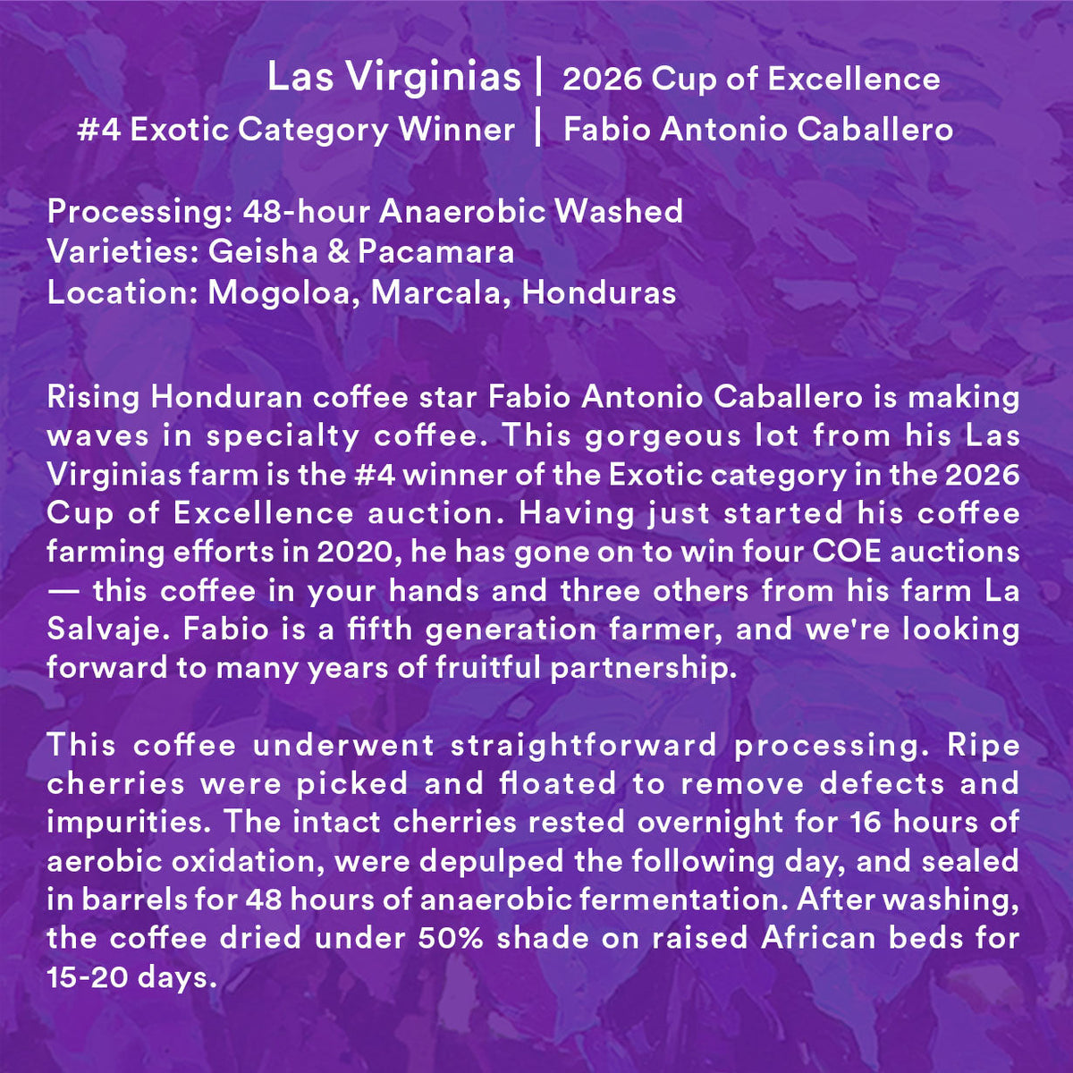 Las Virginias — 2026 Cup of Excellence Honduras #4