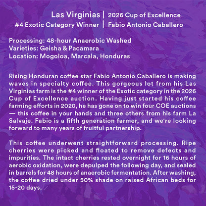 Las Virginias — 2026 Cup of Excellence Honduras #4