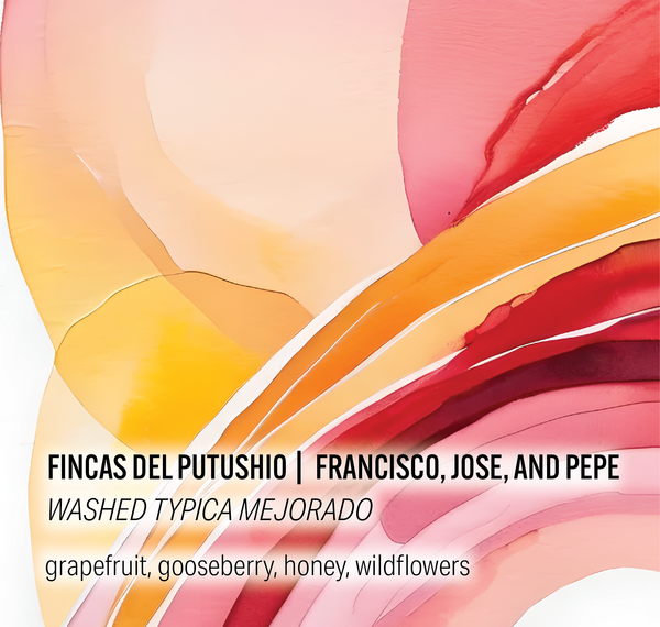 Fincas Del Putushio - Washed Typica Mejorado - Ecuador