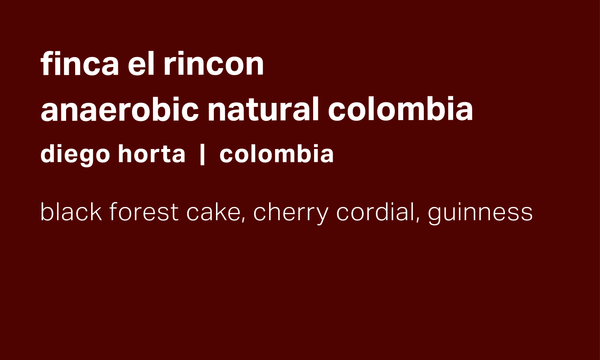 Finca El Rincon - Diego Horta - Anaerobic Natural Colombia - Colombia
