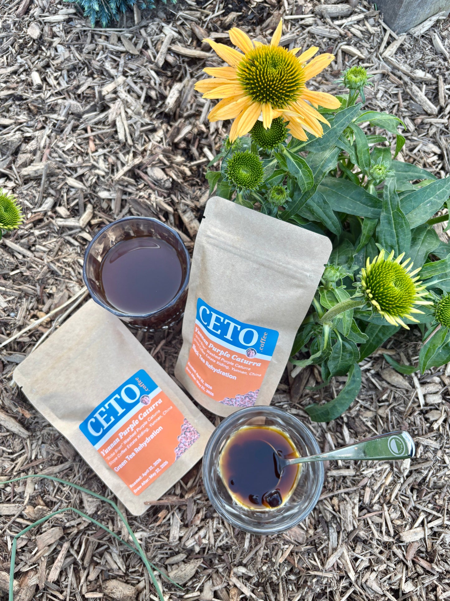 Yunnan Purple Caturra "Boba Brian"